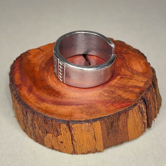 🛡️Aegis  – Ring of Enduring Strength