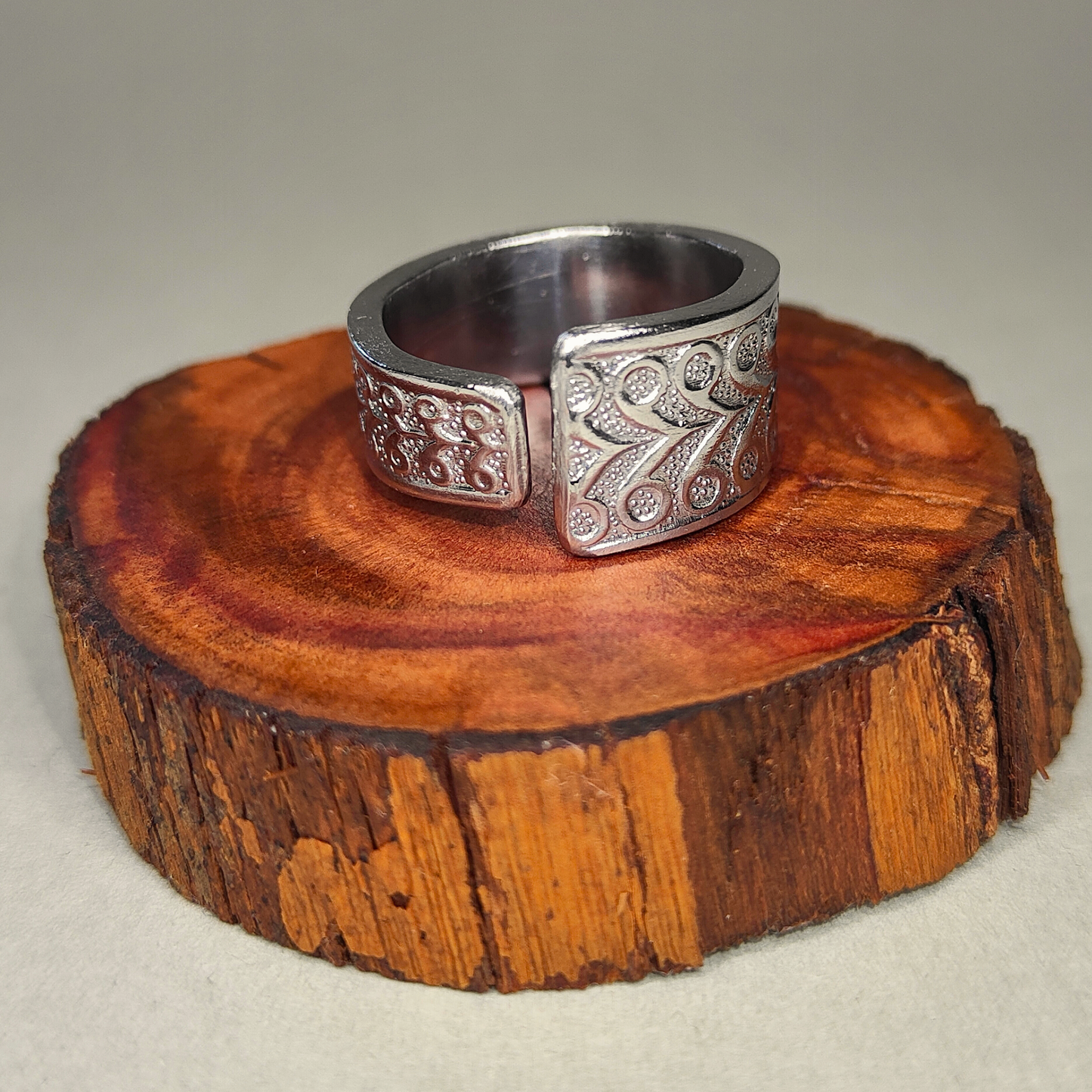 ๐Vanta โ Ring of Endless Form