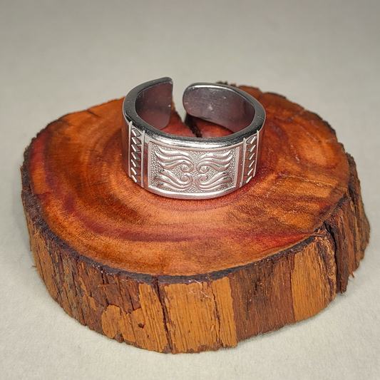 🛡️Aegis  – Ring of Enduring Strength
